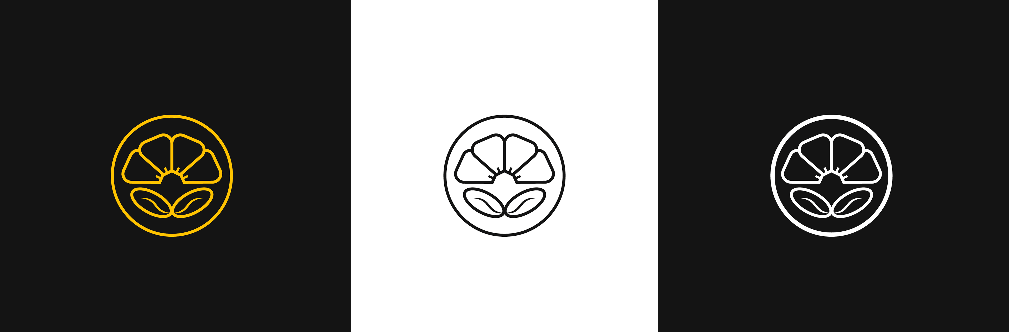 Logo construction grid